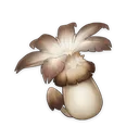 慕风蘑菇图标