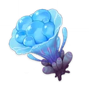 海灵芝图标
